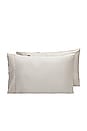 view 1 of 3 King Signature Sateen Pillowcase Set in Sand