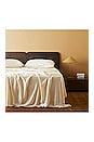 view 5 of 5 CONJUNTO DE FUNDA DE ALMOHADA SATEEN SOLID PILLOWCASE SET in Butter