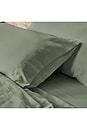 view 2 of 2 Standard Cleanbamboo Sateen+ Pillowcase Set in Fern