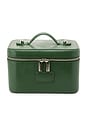 view 1 of 5 Mini Vanity Case in Moss Lizard Print