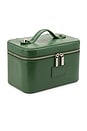 view 2 of 5 Mini Vanity Case in Moss Lizard Print