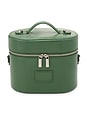 view 1 of 5 Oval Toiletry Case in Moss Lizard Print