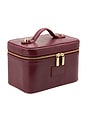 view 2 of 5 Mini Vanity Case in Burgundy Lizard Print