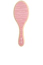 view 1 of 2 Flat Brush in Lychee Baby