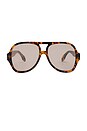 view 1 of 3 Maren Sunglasses in Brown Tortoise