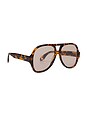 view 2 of 3 Maren Sunglasses in Brown Tortoise