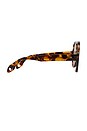 view 3 of 3 Maren Sunglasses in Brown Tortoise