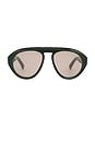 view 1 of 3 Val Sunglasses in Green Tortoise