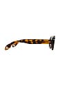 view 3 of 3 Jane Mini Sunglasses in Brown Tortoise