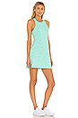 view 2 of 3 Queen Skater Dress in Mint Zebra