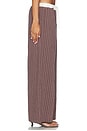 view 4 of 6 PANTALON VERCI  in Sienna Stripe