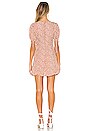 view 3 of 3 Lulu Mini Dress in Terracotta Polka