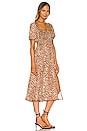 view 2 of 3 Kaia Midi Dress in Cheetah