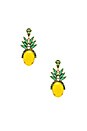 view 1 of 2 Pineapple Studs in Tropical