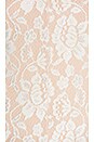 view 6 of 6 Trello Lace Bodysuit in Ivory