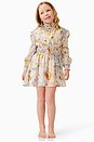 view 3 of 5 Kids Astrid Kids Dress in Multi
