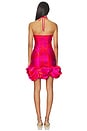 view 4 of 4 Eloise Mini Dress in Red & Fuchsia