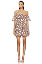 view 1 of 4 Sola Polka Dot Mini Dress in Brown & White