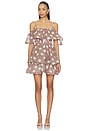 view 2 of 4 Sola Polka Dot Mini Dress in Brown & White