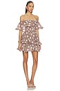 view 3 of 4 Sola Polka Dot Mini Dress in Brown & White