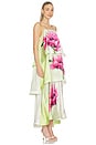 view 2 of 3 Elisia Tiered Gown in Green Floral