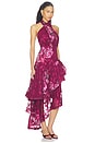view 2 of 4 Eleanora High Low Maxi Dress in Raspberry Mult