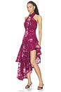 view 4 of 4 Eleanora High Low Maxi Dress in Raspberry Mult