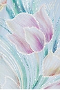 view 5 of 5 Priselle Strapless Midi Dress in Floral Multi
