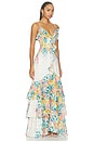 view 2 of 3 Clementina With Ruffle Detailing Maxi Dress in Multi