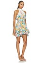 view 2 of 3 MINIVESTIDO CLEMENTINA  in Multi