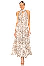 view 1 of 3 Josephine Maxi Dress in Multi