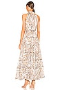 view 3 of 3 Josephine Maxi Dress in Multi