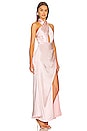 view 2 of 4 Begonia Maxi Dress in Pink
