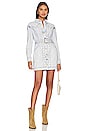 view 1 of 4 Havilland Denim Dress in Light Blue