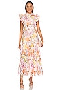 view 1 of 3 Nellie Maxi Dress in Multi