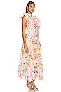 view 2 of 3 Nellie Maxi Dress in Multi