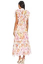 view 3 of 3 Nellie Maxi Dress in Multi