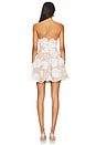 view 3 of 4 Dahlia Mini Dress in Ivory & Nude