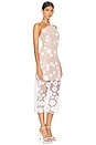 view 2 of 4 Elodie Midi Dress in Ivory & Nude