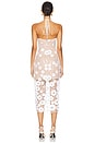 view 3 of 4 Elodie Midi Dress in Ivory & Nude