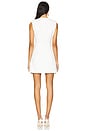 view 3 of 4 Maiara Mini Dress in Ivory