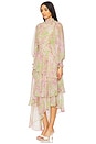 view 3 of 4 Morgan Maxi Dress in Pinkmulti
