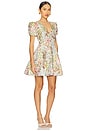 view 2 of 3 Calaantha Puff Sleeve Mini Dress in Multi