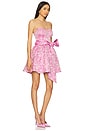 view 2 of 4 Nadeen Aline Mini Dress in Pink Purple