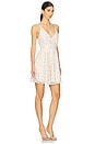 view 2 of 4 Kristina Mini Dress in Antique