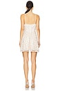 view 3 of 4 Kristina Mini Dress in Antique