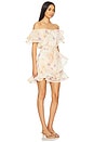 view 2 of 4 Livette Mini Dress in Multi