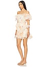 view 3 of 4 Livette Mini Dress in Multi
