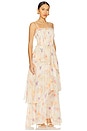 view 2 of 4 Livette Maxi Dress in Multi