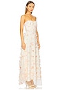 view 3 of 5 Livia Maxi Dress in Multi